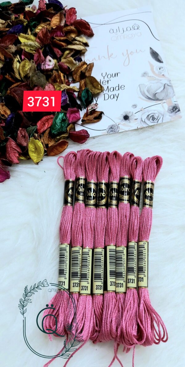 خيوط الأيرو - 49 / 3731