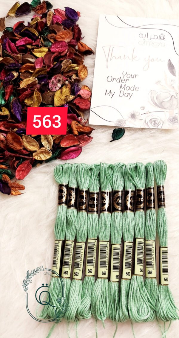 خيوط الأيرو – 202 / 563