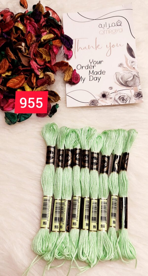 خيوط الأيرو – 216 / 955