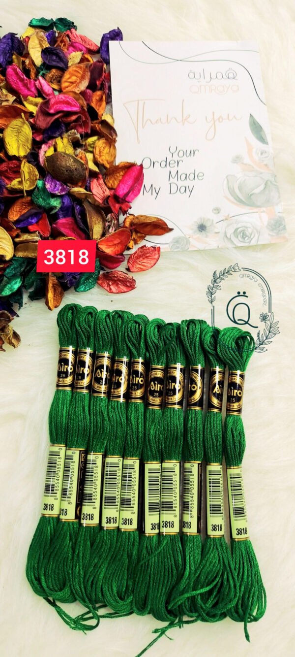 خيوط الأيرو – 223 / 3818