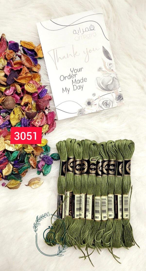 خيوط الأيرو – 262 / 3051