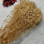 بيبي فلور - بيج