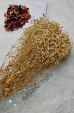 بيبي فلور - بيج