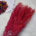 بيبي فلور - احمر مستورد