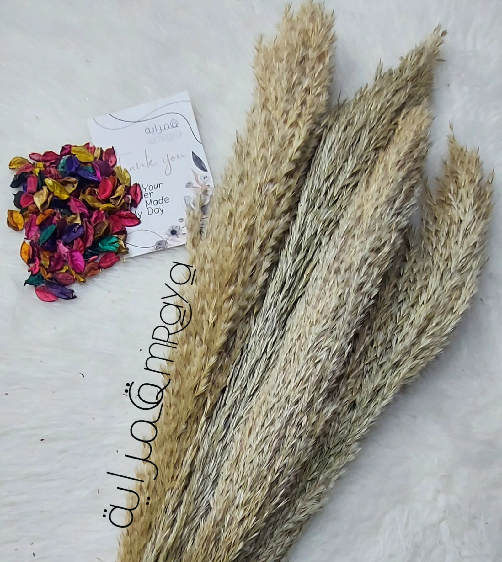 InShot_20250813_161846728 الهشهوش - الصورة 1