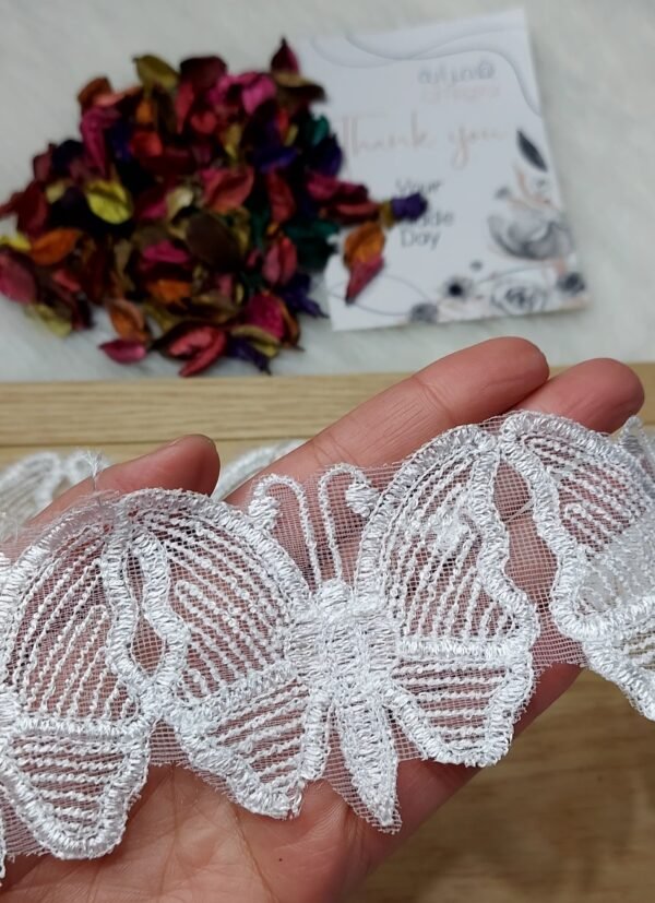 فراشات بيضا كبيرة