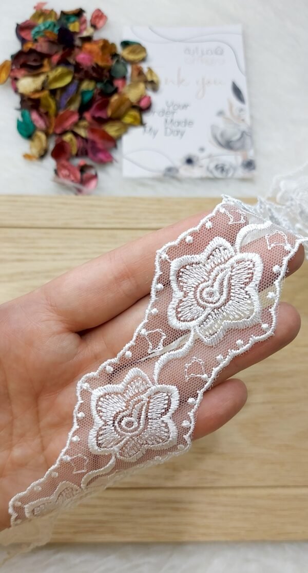 جوبير مصري / وردة بلدي كبيره