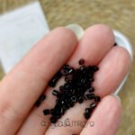 كسر تشيكي / اسود - هاي كوبي