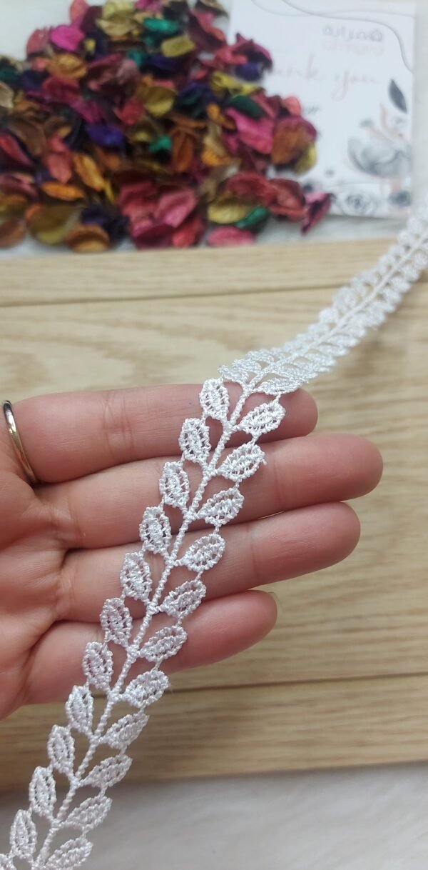 جوبير رفيع 8 - السنبله