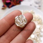 دهبيات - ورده بلدي ابيض في دهبي