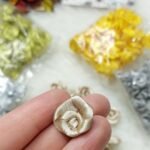 ورد ستان - شامبين