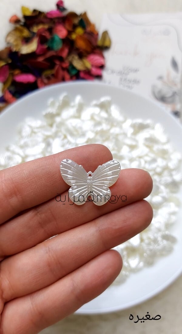 فراشه اكليريك - فراشة صغيرة