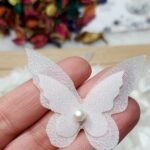 فراشه اورجانزا - طبقتين