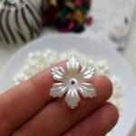 اكليريك - ورد سداسي - كبير