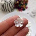 ورد اكليريك - ورد الكاميليا صغيرة