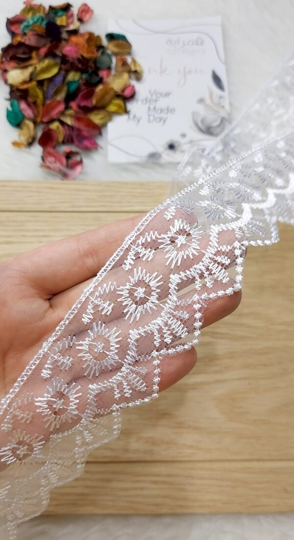 جوبير مصري - اورجانزا عباد الشمس