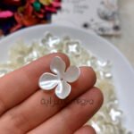 ورد اكليريك - ورد رباعي كبيرة