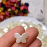 اكليريك - فراشة / صغيرة