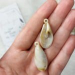 خيرات البحر - صناعي / قرطاس البحر