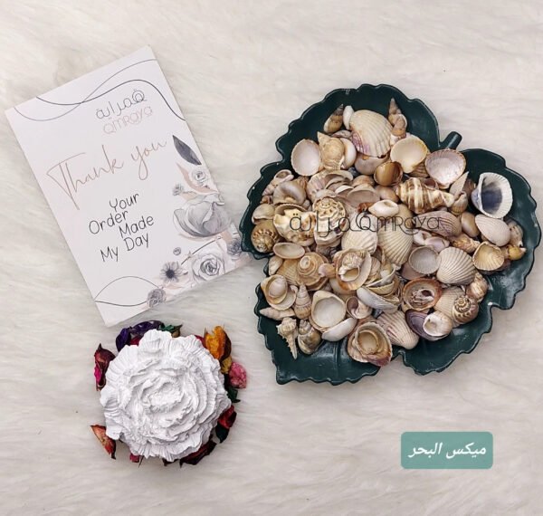 خيرات البحر - طبيعي - مشكل