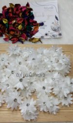 ورد اورجانزا - ابيض - الصورة 2