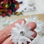 ورد اورجانزا - ابيض