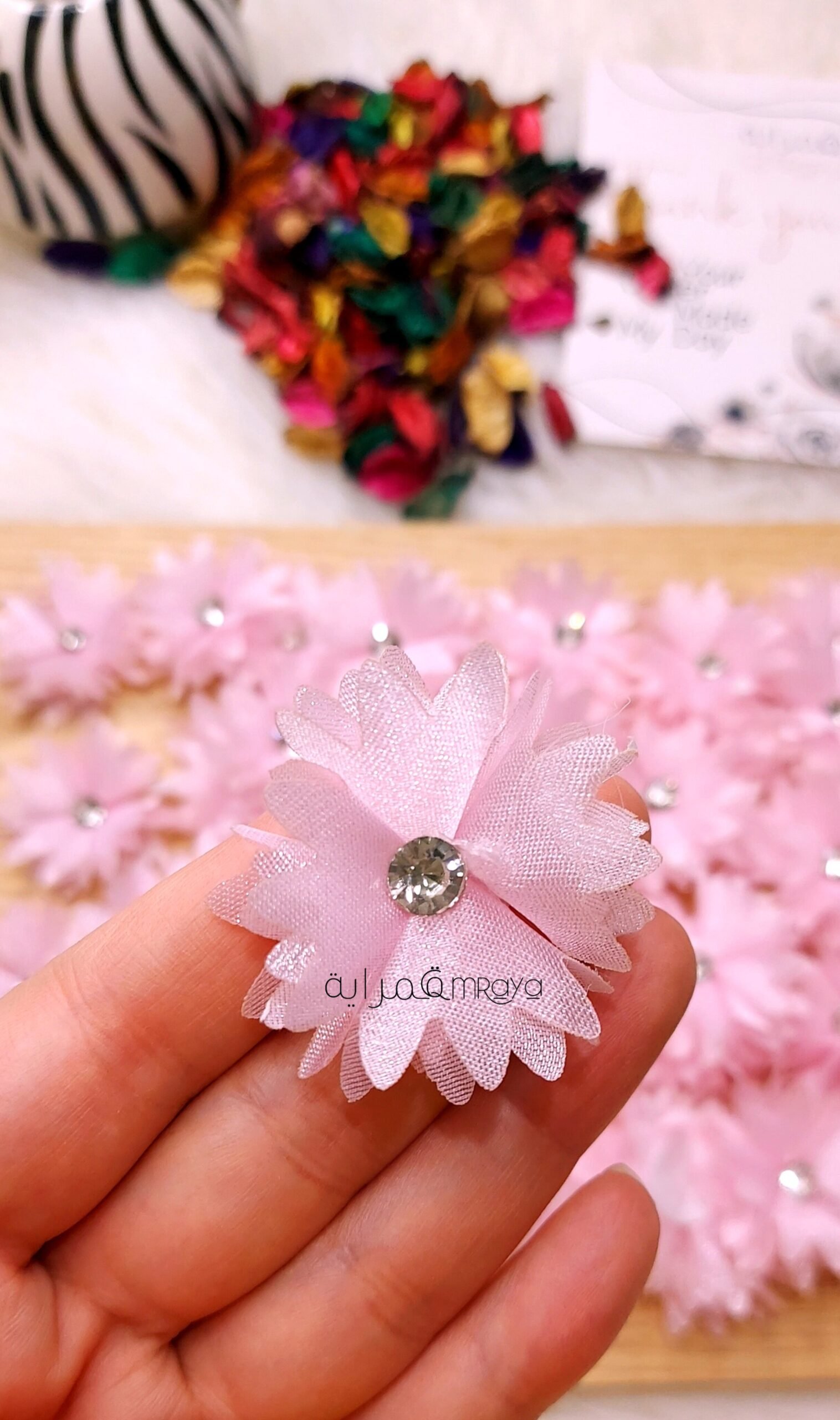 InShot_20251006_014040561 ورد اورجانزا - بينك - الصورة 1