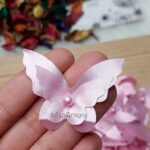 فراشه ستان / بمبي