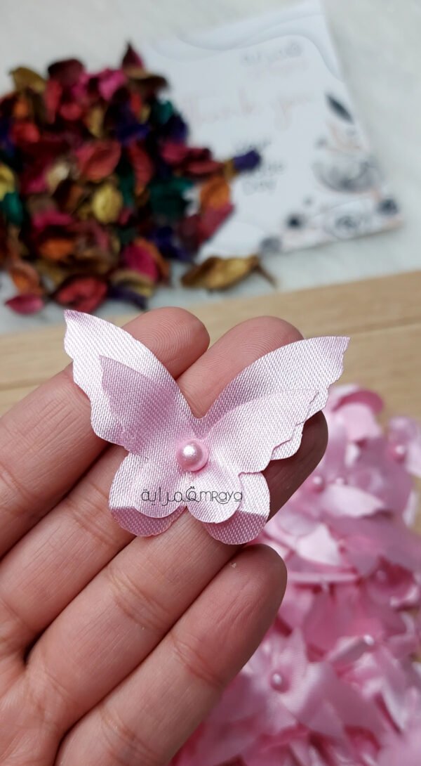 فراشه ستان / بمبي