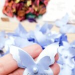 فرشات البيبي / لبني