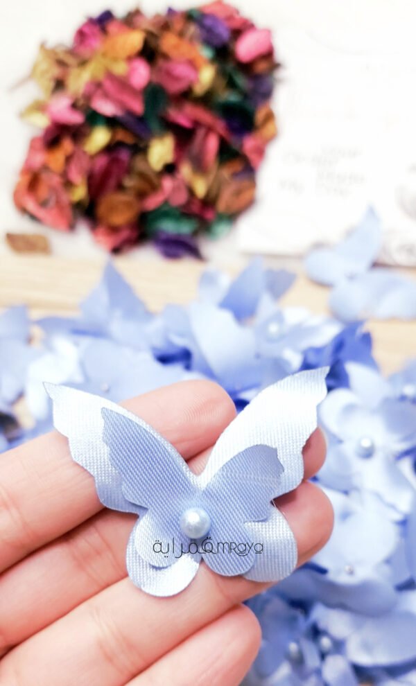 فرشات البيبي / لبني