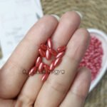 السنبله احمر هادي - صغيره