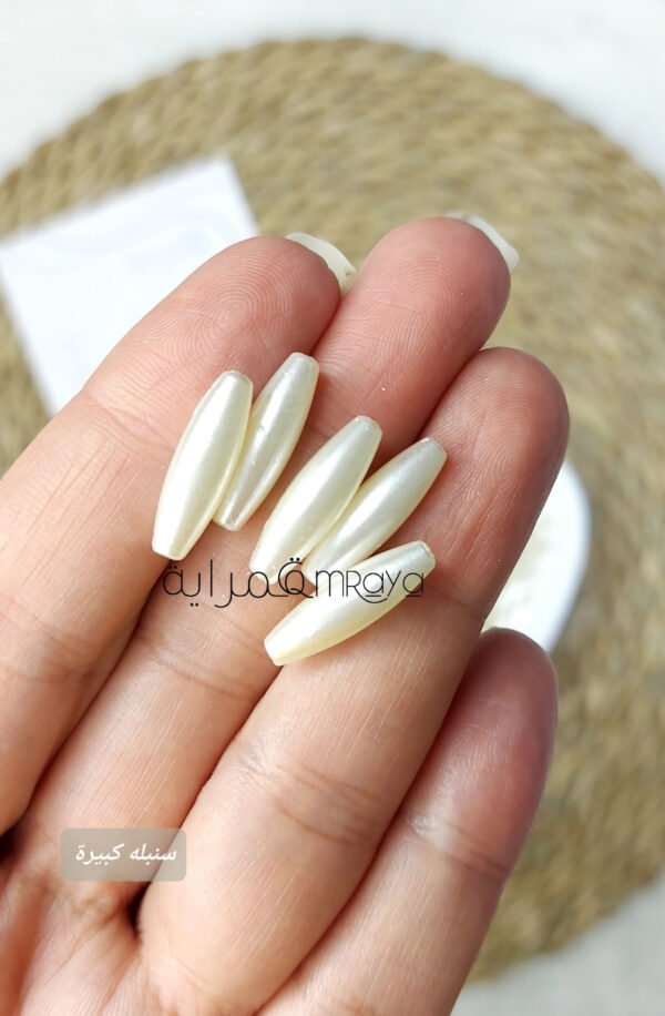 السنبله الطويله - اوف وايت