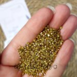 كفيار - دهبي