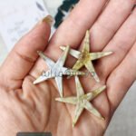 خيرات البحر - صناعي / نجوم كبيرة