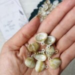 خيرات البحر - صناعي / صدف البحر