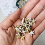 خيرات البحر - صناعي / نجوم صغيرة