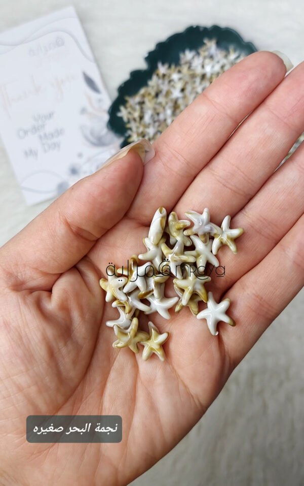 خيرات البحر - صناعي / نجوم صغيرة