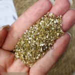 شوجر - دهبي / مستورد