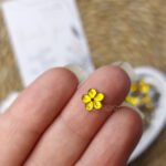 فص ورده دهبي