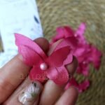 فراشه ستان / فوشيا