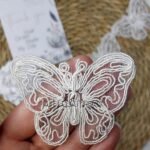 فراشه دانتيل / طبقه واحده