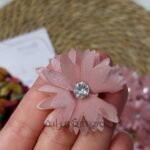 ورد اورجانزا - كشمير