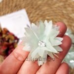 ورد اورجانزا - مينت جرين