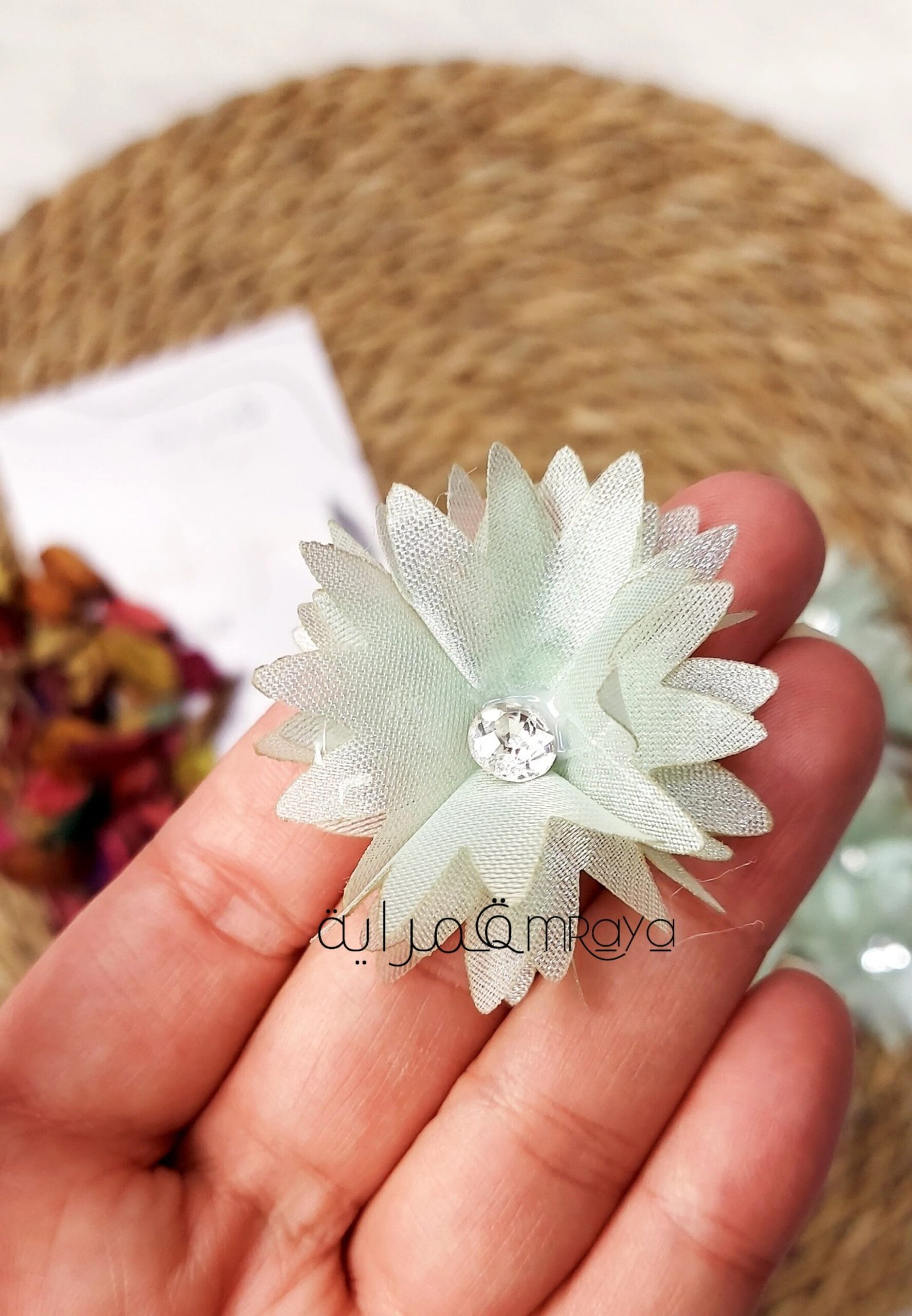 2025/11/1000586799-scaled.jpg ورد اورجانزا - مينت جرين - الصورة 1