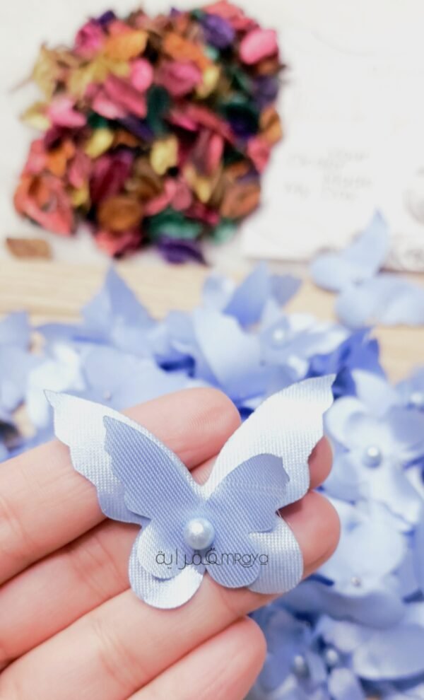 فراشه ستان / لبني