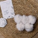 كور فرو - اوف وايت