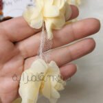 ورد طاير - Old Gold Light