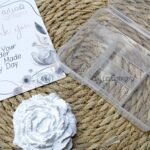 منظمات / منظم 5 عيون