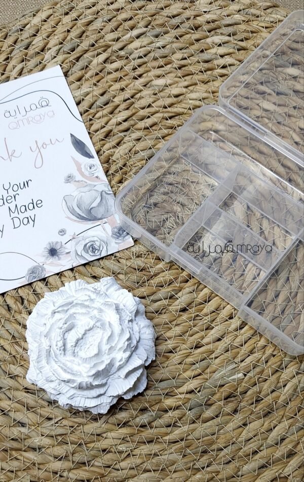 منظمات / منظم 5 عيون